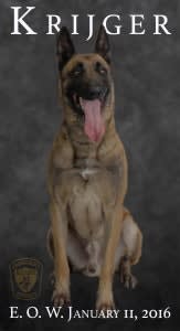 Virginia K-9 Shot and Killed During Barricade Incident