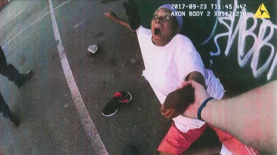 Judge Calls St. Paul Officer "Reckless" in Lawsuit Over K-9 Attack on Innocent Bystander