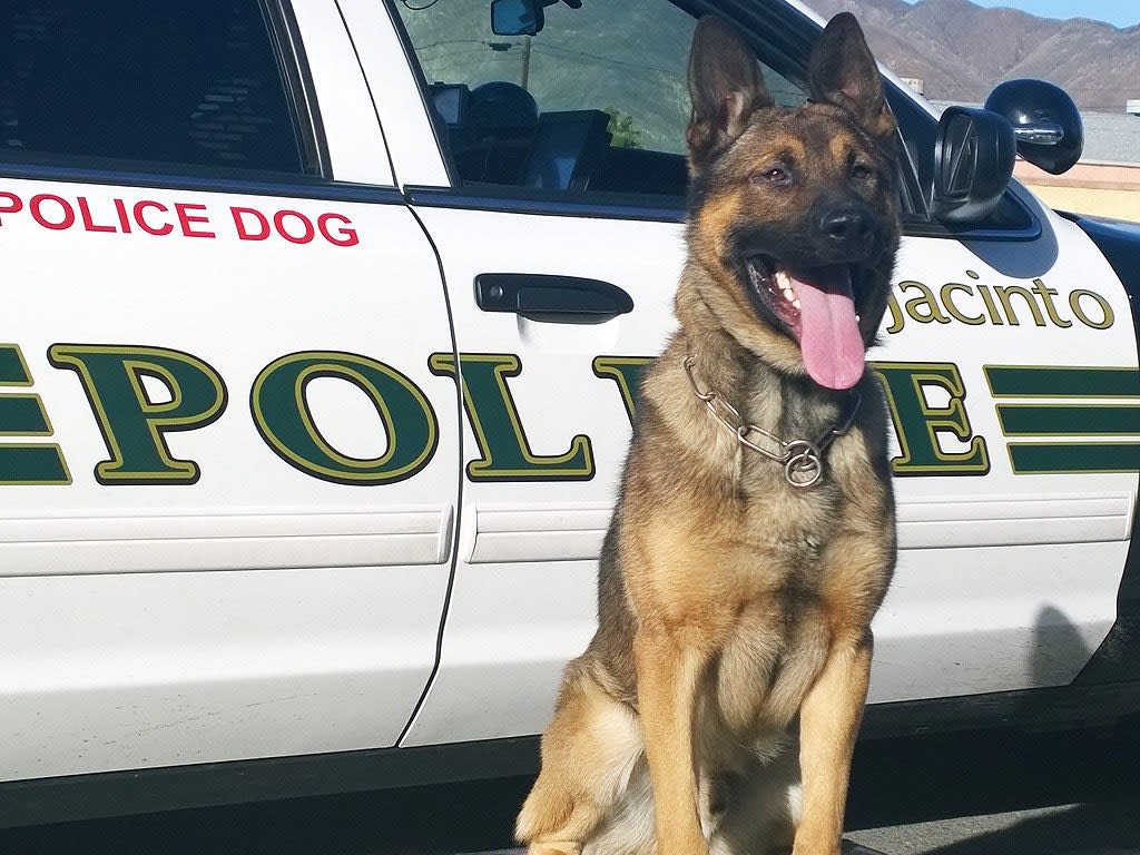 Hundreds Attend Memorial for Fallen California K-9