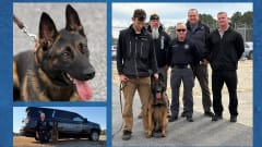 Collage of police dog, closeup, with trainers, and with an officer outside a police vehicle