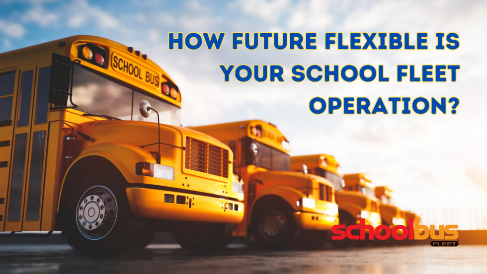 A row of yellow school buses.