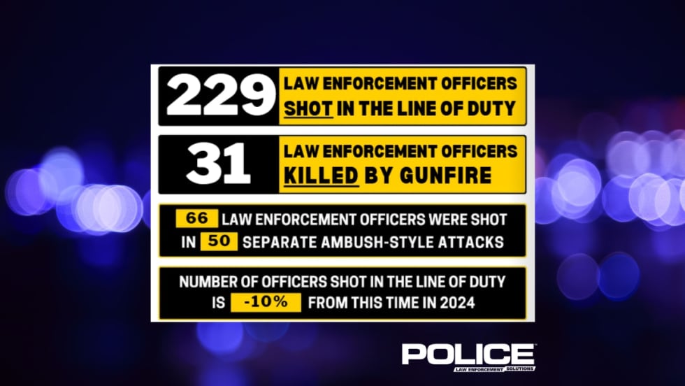 Police statistics graphic showing 229 officers shot, 31 killed in line of duty in 2024