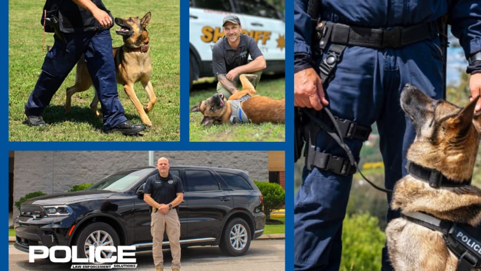 composit image of multiple police k-9 units training and a logo for POLICE.