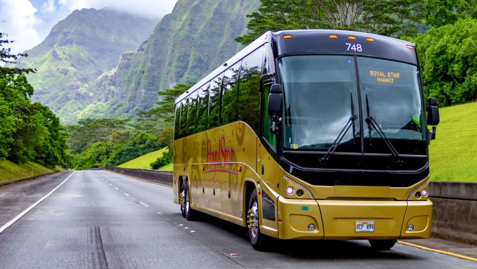 A gold and black Royal Star Hawaii MCI motorcoach on the road.