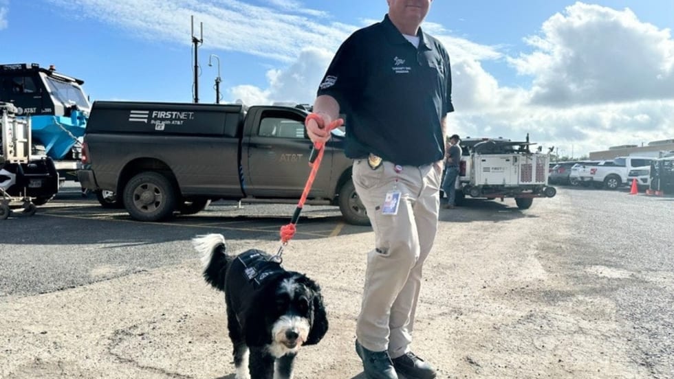 Security officer walking black and white dog in parking lot with work trucks