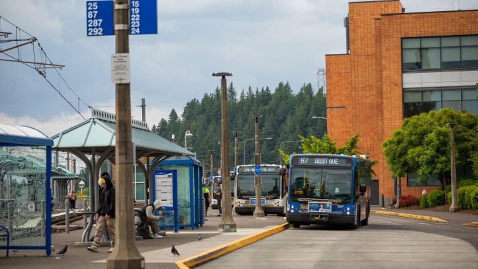 TriMet bus stations near a road.