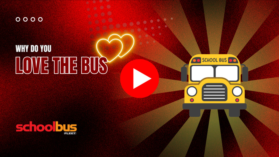 Why do you love the bus