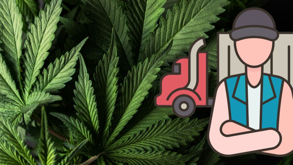 Illustration of truck driver and marijuana