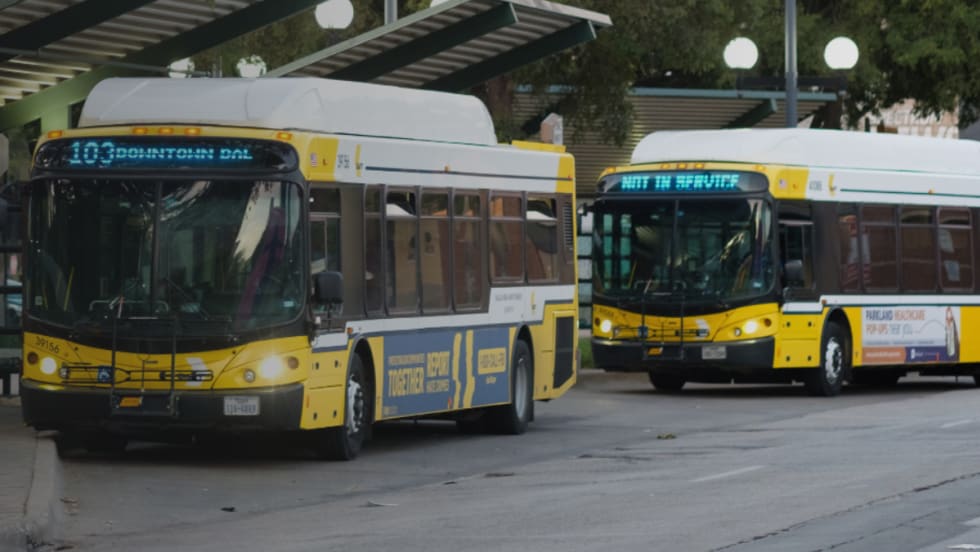 Yellow DART public transit buses lined up.