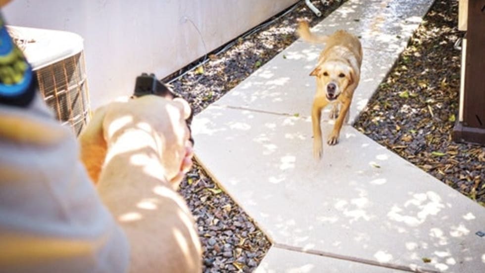 Photo: Mark W. Clark