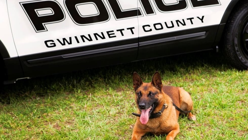 K-9 Eli of the Gwinnett County Police Department died after he fell ill while tracking a suspect. [|CREDIT|]Photo: Gwinnett County Police