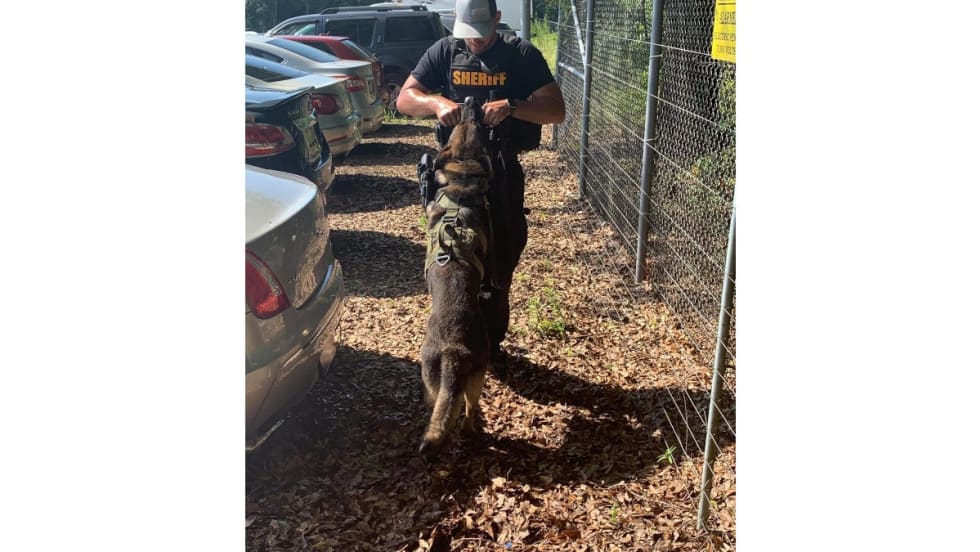 Anderson County (SC) Sheriff's K-9 Roscoe was killed Tuesday night when suspects ambushed deputies, the sheriff said. One suspect was killed, the other wounded.[|CREDIT|]