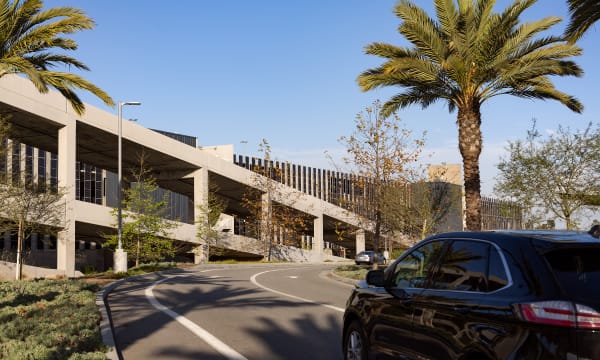 lax-