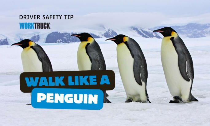Penguins walking with note 
