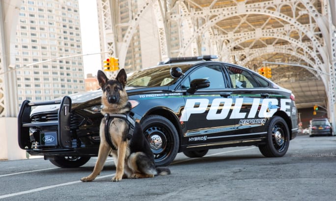 German Shepherd police dog sitting next to a hybrid police patrol car