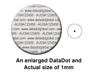 Enlarged DataDot