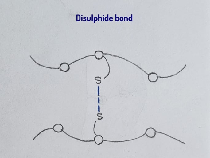 A drawing of chemical bonds