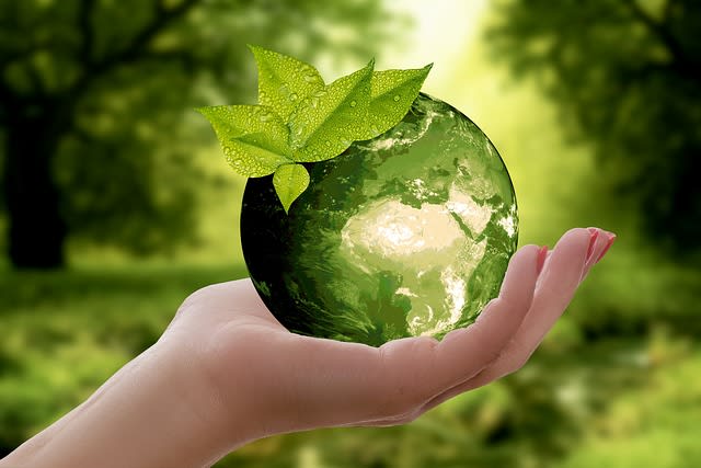 hand holding green earth