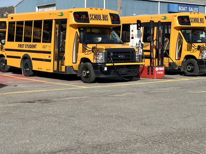 Bluebird electric bus