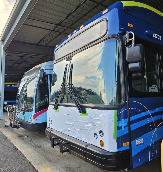 Mountain Line buses.