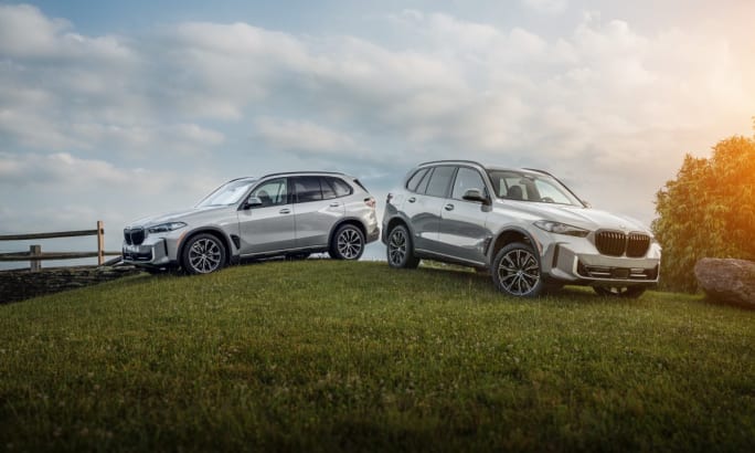 Two special limited-production Silver Anniversary Edition X5 xDrive40i parked on a small hill.