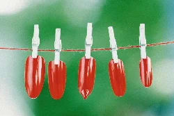 Fun facts about nails