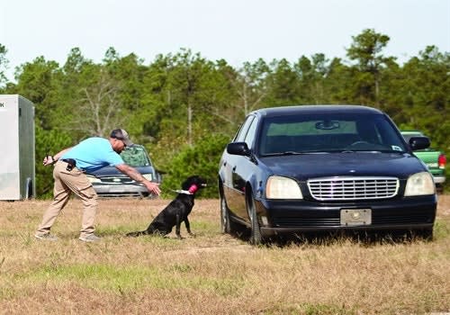 Person-Borne Explosive Detection Dogs can find planted explosives or follow a bomber walking through a crowd. (Photo: K2 Solutions)