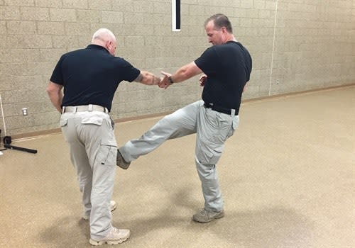 To disrupt your attacker's OODA loop, you need to inflict pain such as with a side kick to his knee.