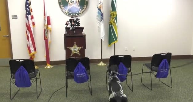 Marion County, FL, gun detection K-9 Albi demonstrates her capabilities alerting on a gun in a backpack. (Photo: Marion County SO)[|CREDIT|]