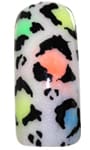 neon leopard - Step 5