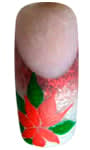 Poinsettia - Step 5