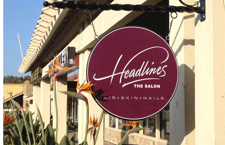 Salon of Distinction: Headlines the Salon