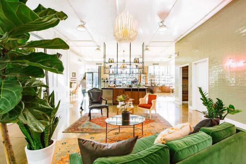 2020 Salons of the Year: Solo Salon-Elizabeth