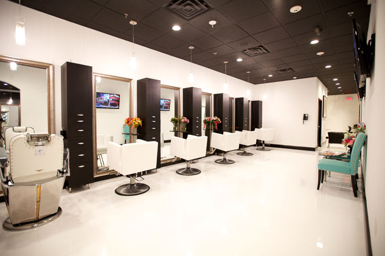 Salon of Distinction: Salon Entourage