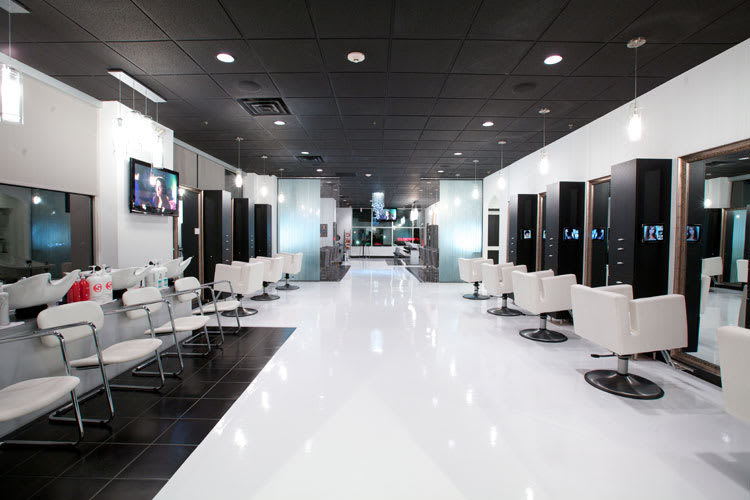 Salon of Distinction: Salon Entourage
