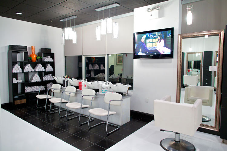 Salon of Distinction: Salon Entourage