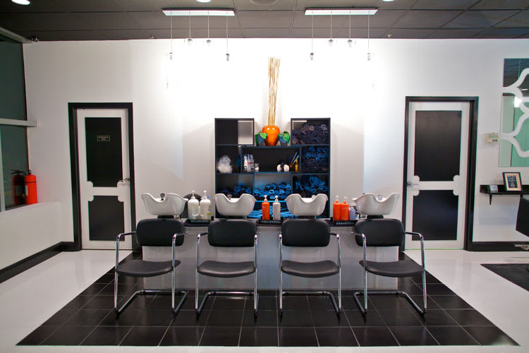 Salon of Distinction: Salon Entourage