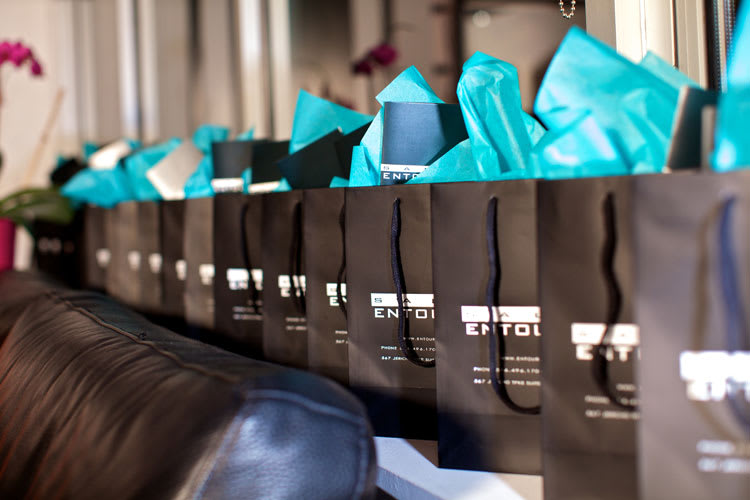 Salon of Distinction: Salon Entourage