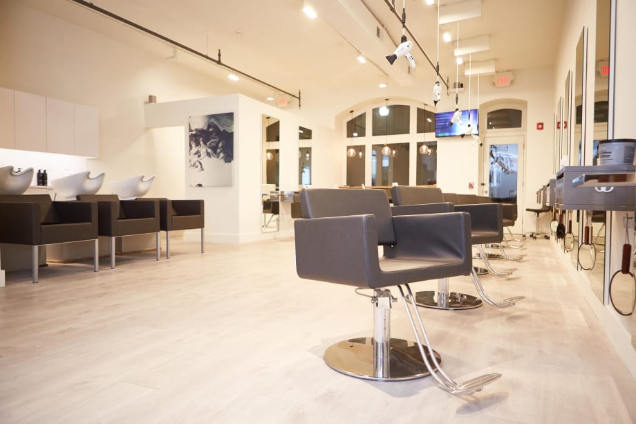 SOTY 2015: Salon Gatto