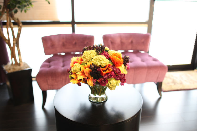 Salon of Distinction: Strands Studio for Hair