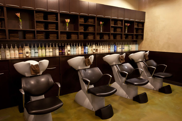 Salon of Distinction: Van Michael Salon, Sandy Springs