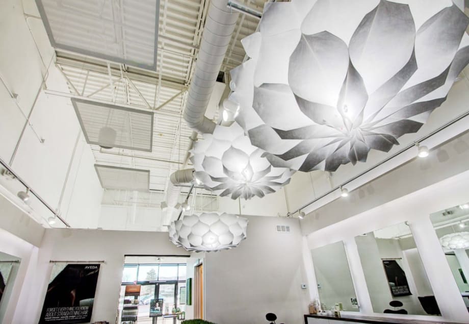 Salons of the Year 2016: Zandi K. Salon