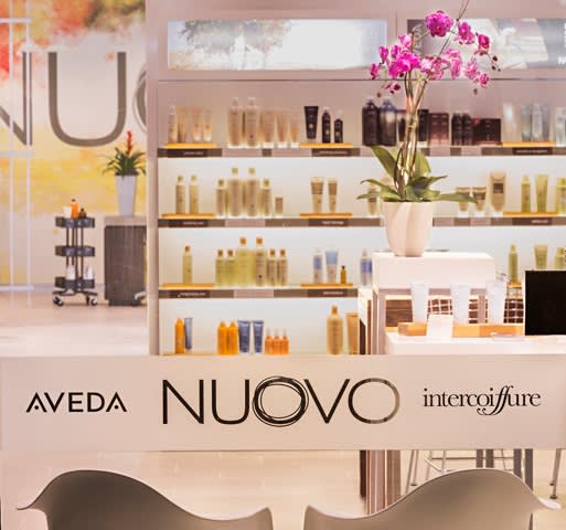 SOTY 2015: Nuovo Cooper Creek
