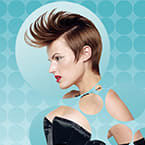 COLLECTION: Curvality