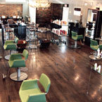 Salon of Distinction: Fringe
