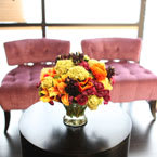 Salon of Distinction: Strands Studio for Hair