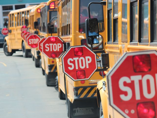 a photo of multiple buses with their stop-arm out