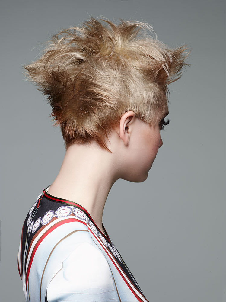 Sharpley Shaped: Scissor-Over-Comb and Clipper Techniques