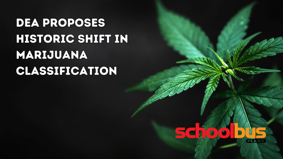 DEA May Reclassify Marijuana in Historic Move