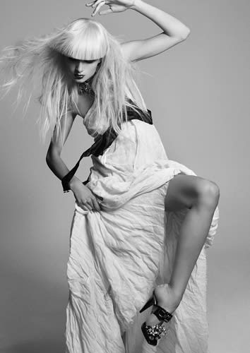Light and Dark by BIBA Creative Team